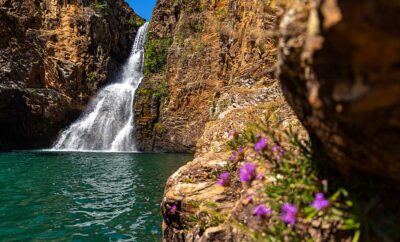 Chapada dos Veadeiros: Onde a Natureza e o Misticismo se Encontram